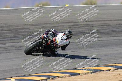 media/Feb-04-2024-SoCal Trackdays (Sun) [[91d6515b1d]]/4-Bowl Backside (11am)/
